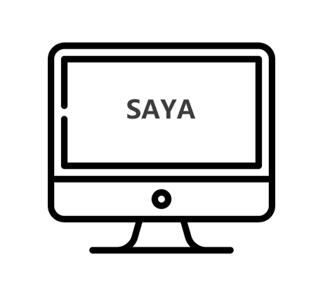 Dollars SAYA 终身授权